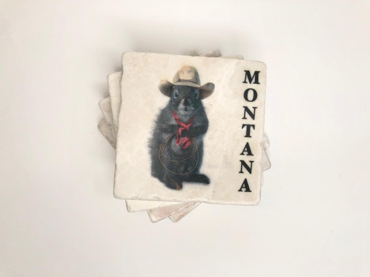 Cowboy squirrels dish towel