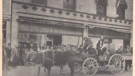 Oxen drawn cart at parade, Roundup, MT