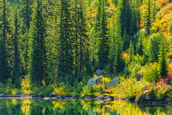 STATELINE TRAIL AND BONANZA LAKES