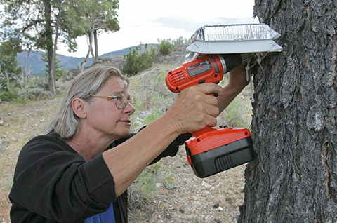 Attaching Temp Logger