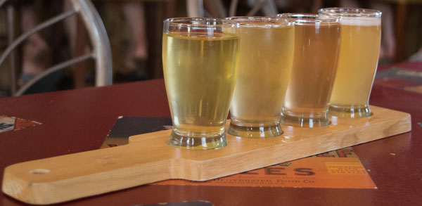 Flight of Cider