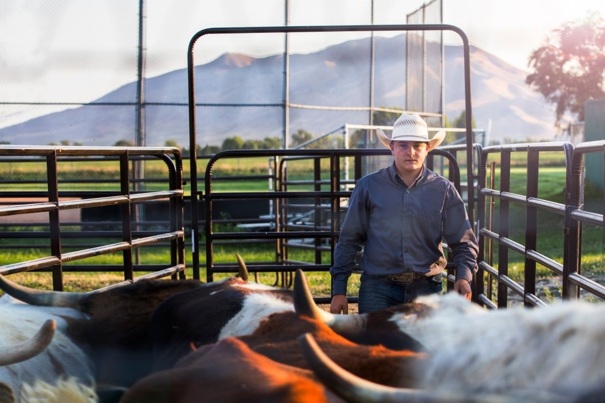 working cowboy