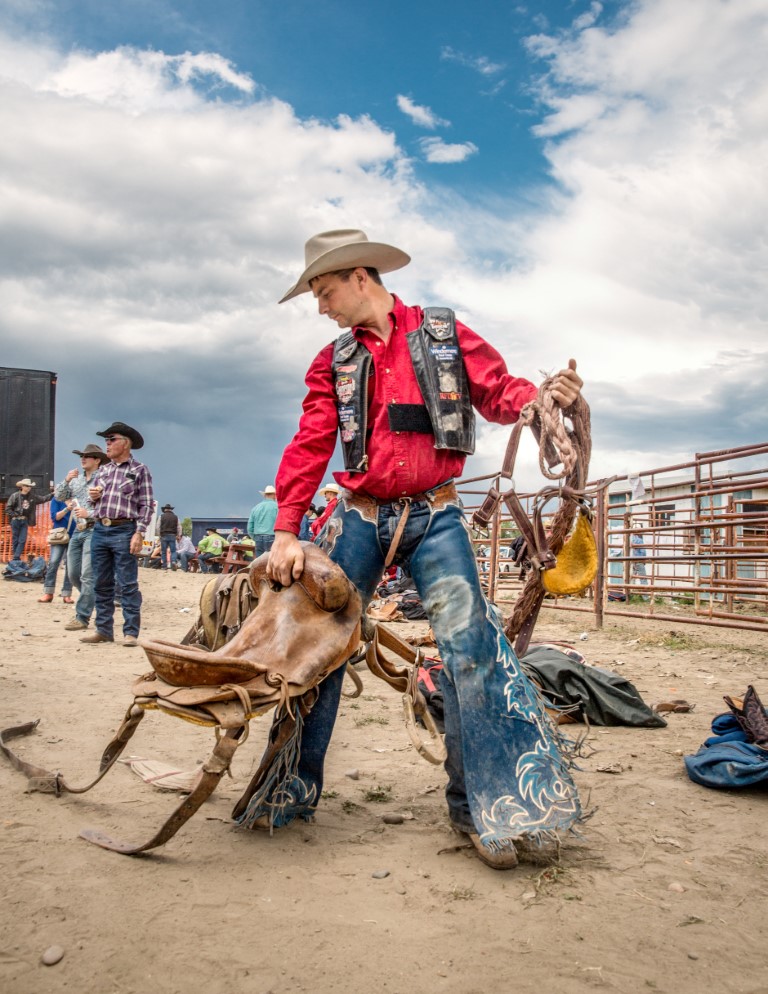 Bucking Horse Sale