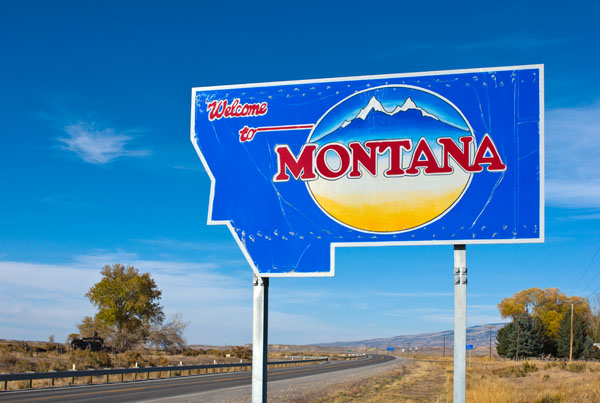 montana logo