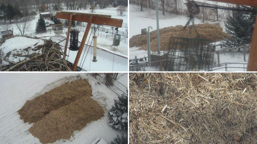 Montana winter gardening