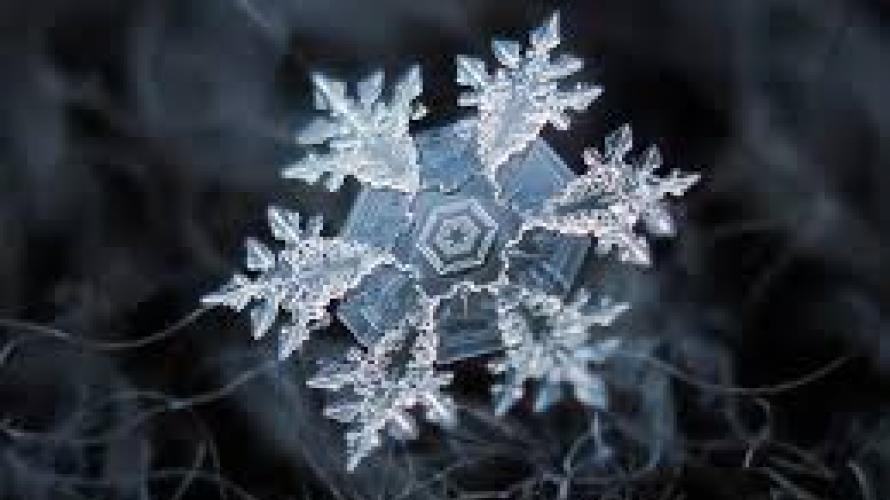 macro photo of snowflake