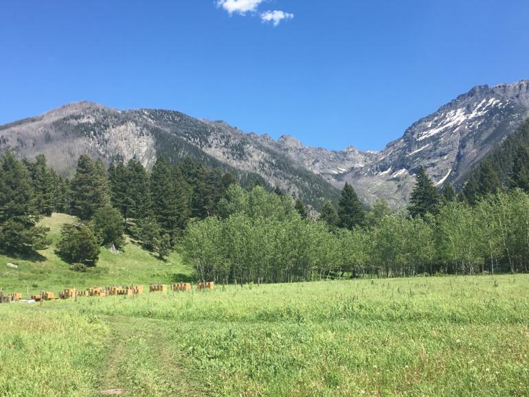 Alpine Honey Bee Farm