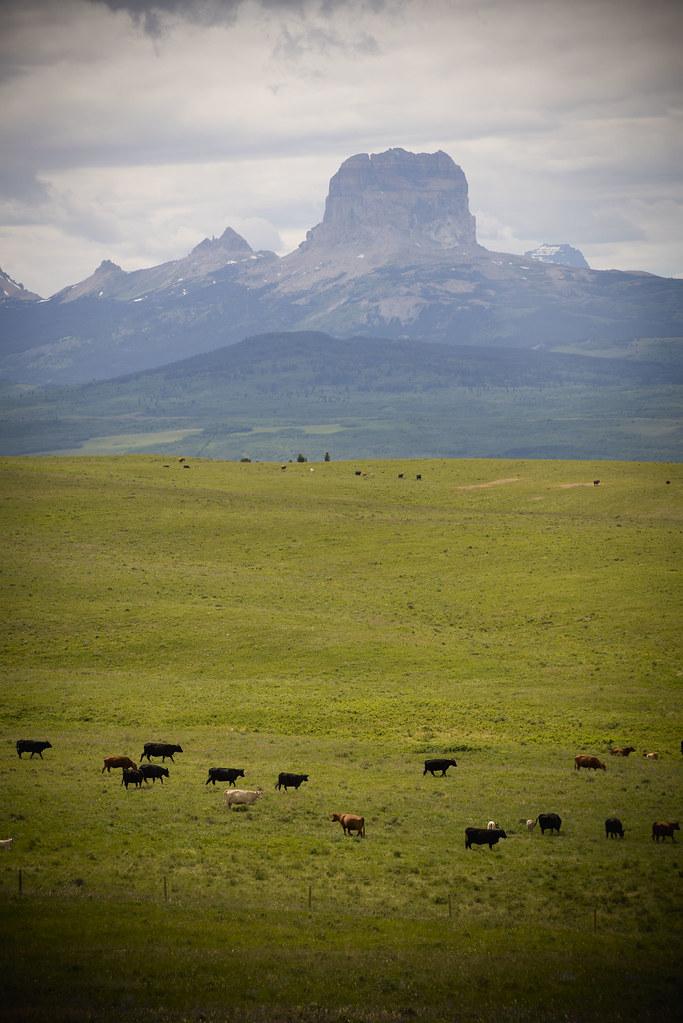 Chief Mountain