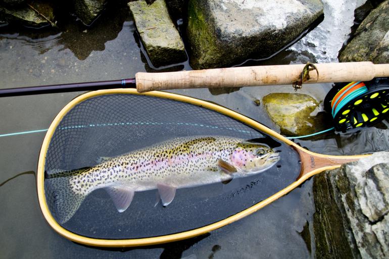 Winter flyfishing