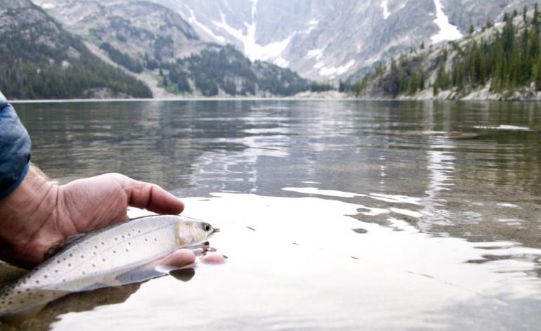 Fishing on the beartooth