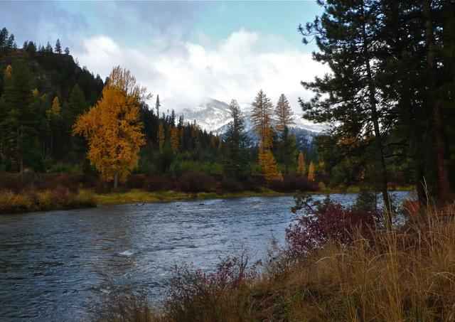 Blackfoot Early Winter