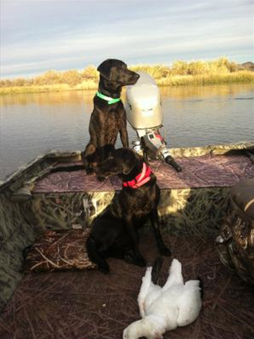 Bubba fishing