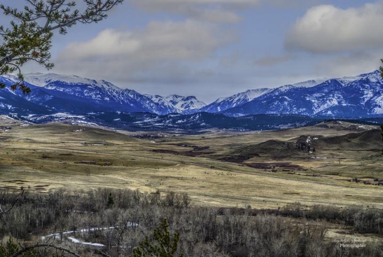 Meadows and Mountains